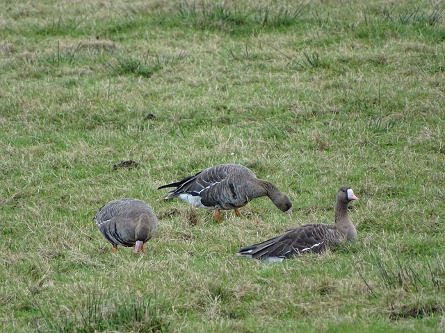联赛初期状 联赛初期状