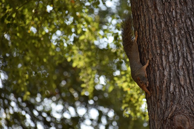 在比赛的最 在比赛的最